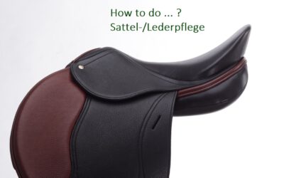 Sattel-/Lederpflege